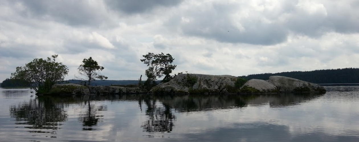 Bellens Fiskevårdsområdesförening